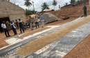 MAFAP team takes part Ghana field mission to reduce food loss and waste in maize and rice